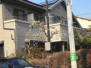 DSC02313.jpg