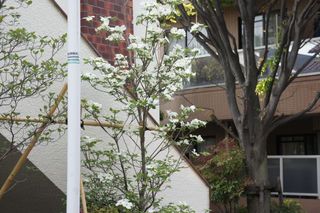 DSC03674.jpg