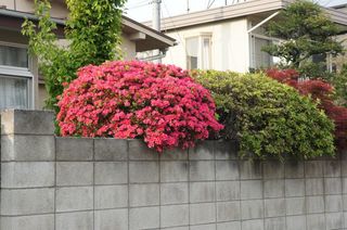 DSC03679.JPG