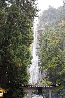 06-11.jpg