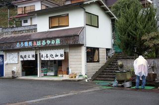 81.jpg