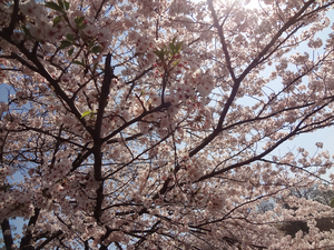 DSC00102.bmp