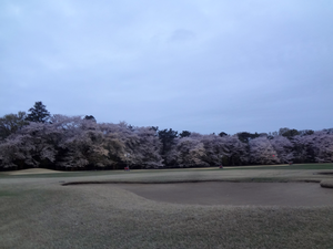 DSC00140.bmp