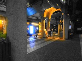 DSC00370.jpg