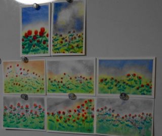 DSC00384.jpg