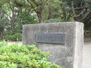 DSC00490.jpg