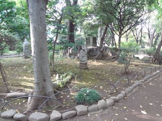 DSC00495.jpg