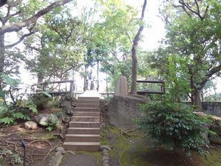 DSC00497.jpg