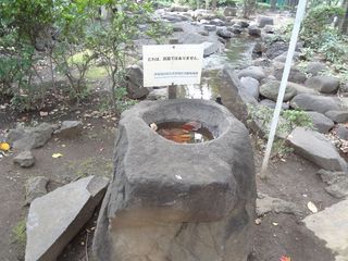 DSC00499.jpg
