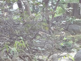 DSC00504.jpg