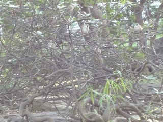 DSC00506.jpg