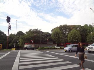 DSC00524.jpg