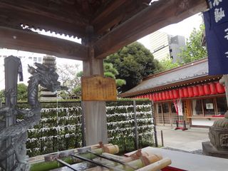 DSC00530.jpg