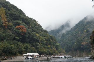 DSC00540.jpg