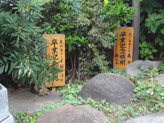 DSC00542.jpg