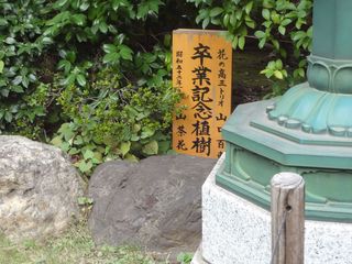 DSC00543.jpg