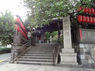 DSC00554.jpg