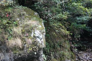 DSC00559.jpg