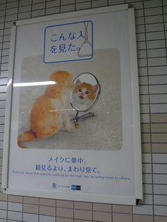 DSC00572.jpg