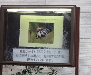 DSC00625.jpg