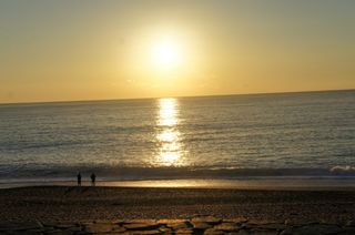 DSC00658.jpg