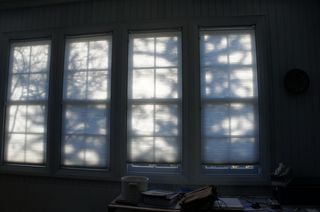 DSC00686.jpg