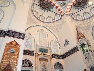 DSC00719.jpg
