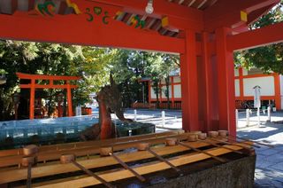 DSC00719.jpg