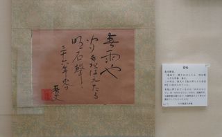 DSC00764.jpg