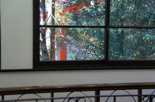 DSC00785.jpg