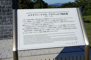 DSC00984.jpg