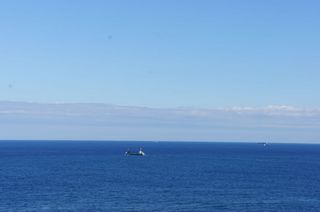 DSC00990.jpg