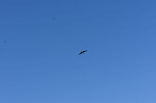DSC00994.jpg