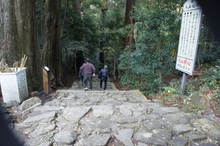 DSC01044.jpg