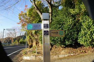 DSC01094.jpg