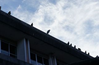 DSC01112.jpg