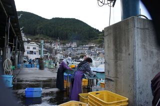 DSC01115.jpg