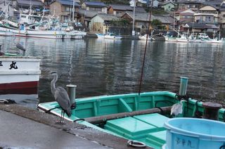 DSC01119.jpg