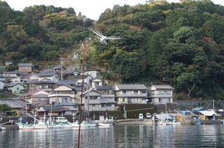 DSC01124.jpg