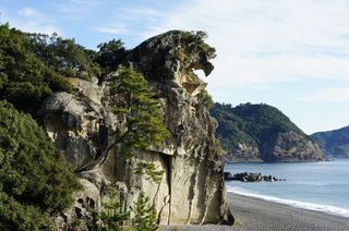 DSC01138.jpg