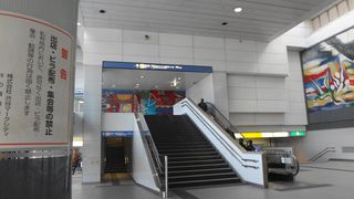 DSC01517.jpg