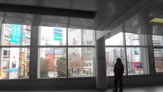 DSC01518.jpg