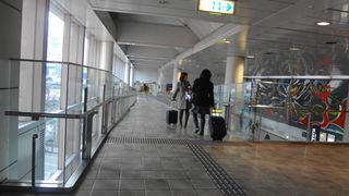 DSC01530.jpg