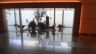 DSC01539.jpg