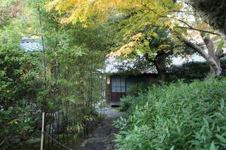 DSC01582.jpg