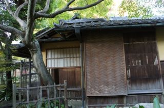 DSC01583.jpg