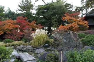 DSC01593.jpg