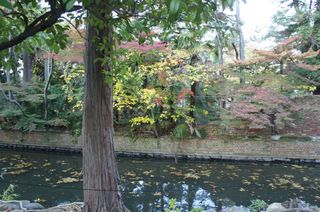 DSC01601.jpg