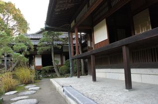 DSC01622.jpg