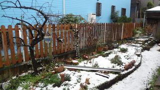 DSC01691.jpg